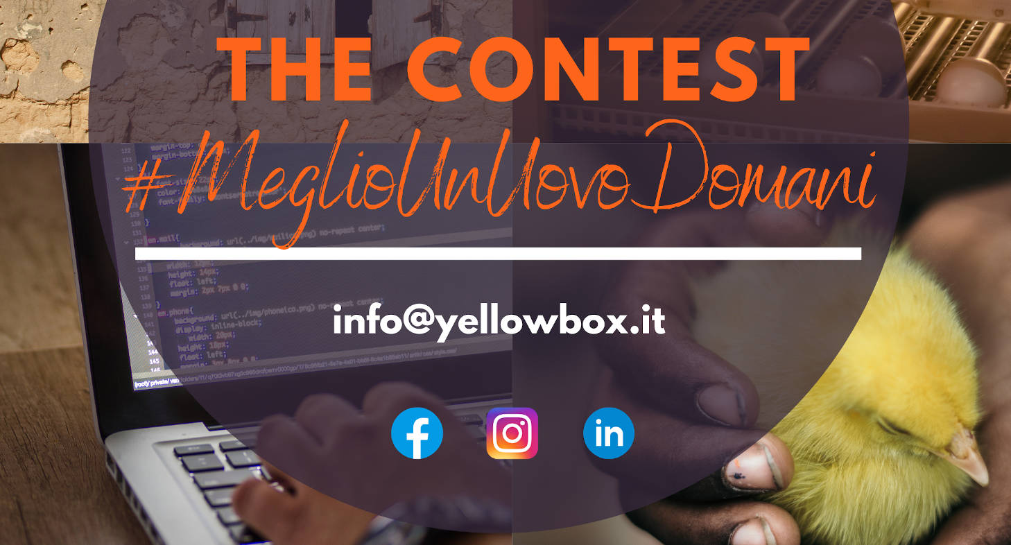 The Contest MUUD