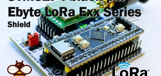 STM32F4 black pill EByte LoRa Exx