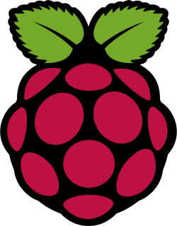 Raspberry Pi Logo