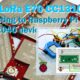 Raspberry Pi Pico, rp2040 and Ebyte LoRa E70 CC1310