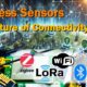Il futuro della connettività: esploriamo lo stato dei dispositivi wireless
